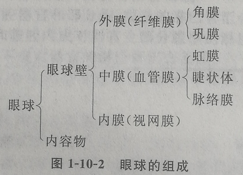 四川成人高考网-专升本-医学综合30.jpg