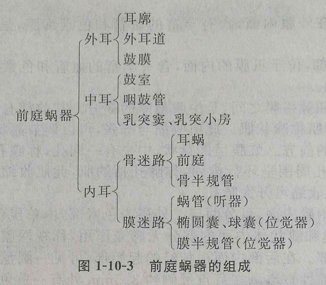 四川成人高考网-专升本-医学综合31.jpg