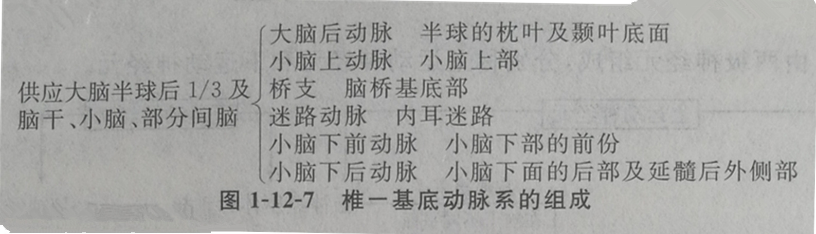 四川成人高考网-专升本-医学综合42.jpg