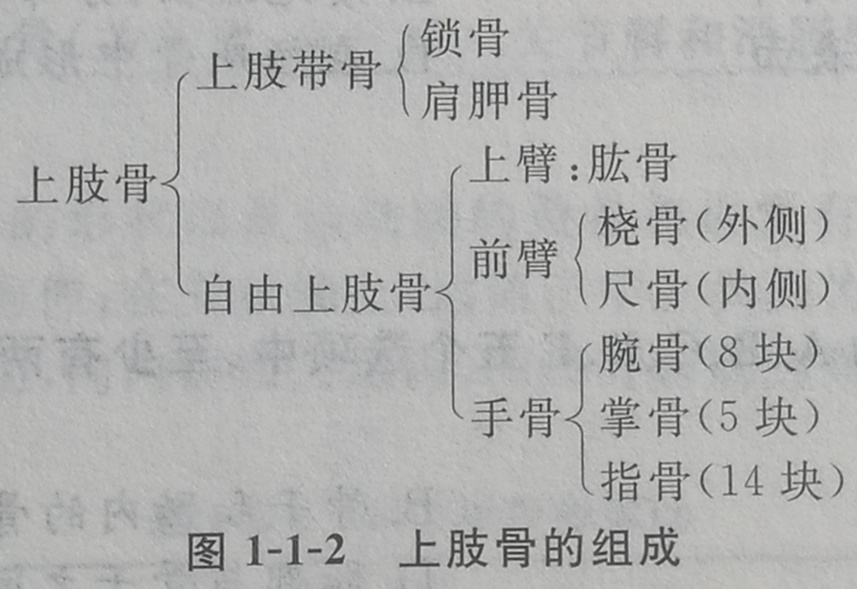 四川成人高考网-专升本-医学综合46.jpg