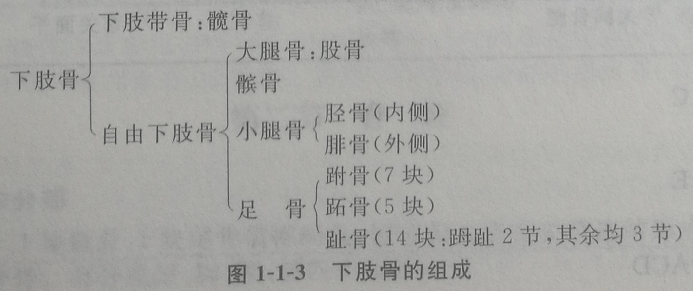 四川成人高考网-专升本-医学综合47.jpg